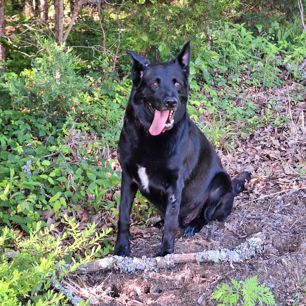 Meet your Posher, Anita